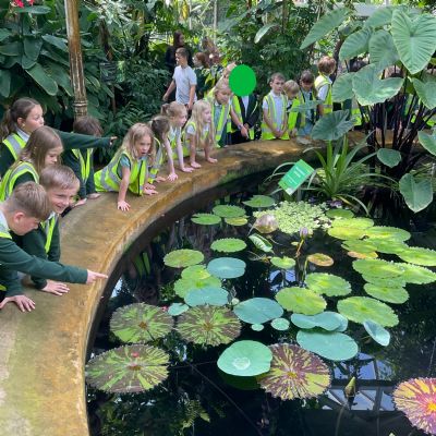 Botanical Gardens