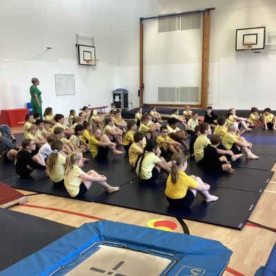 Gymnastics Festival
