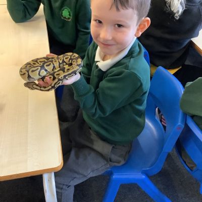 Animal Man Visit
